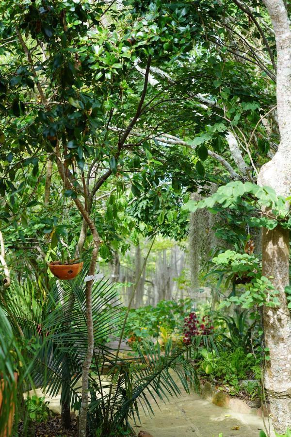 El Paraiso Posada Finca San Vicente Barichara Bagian luar foto