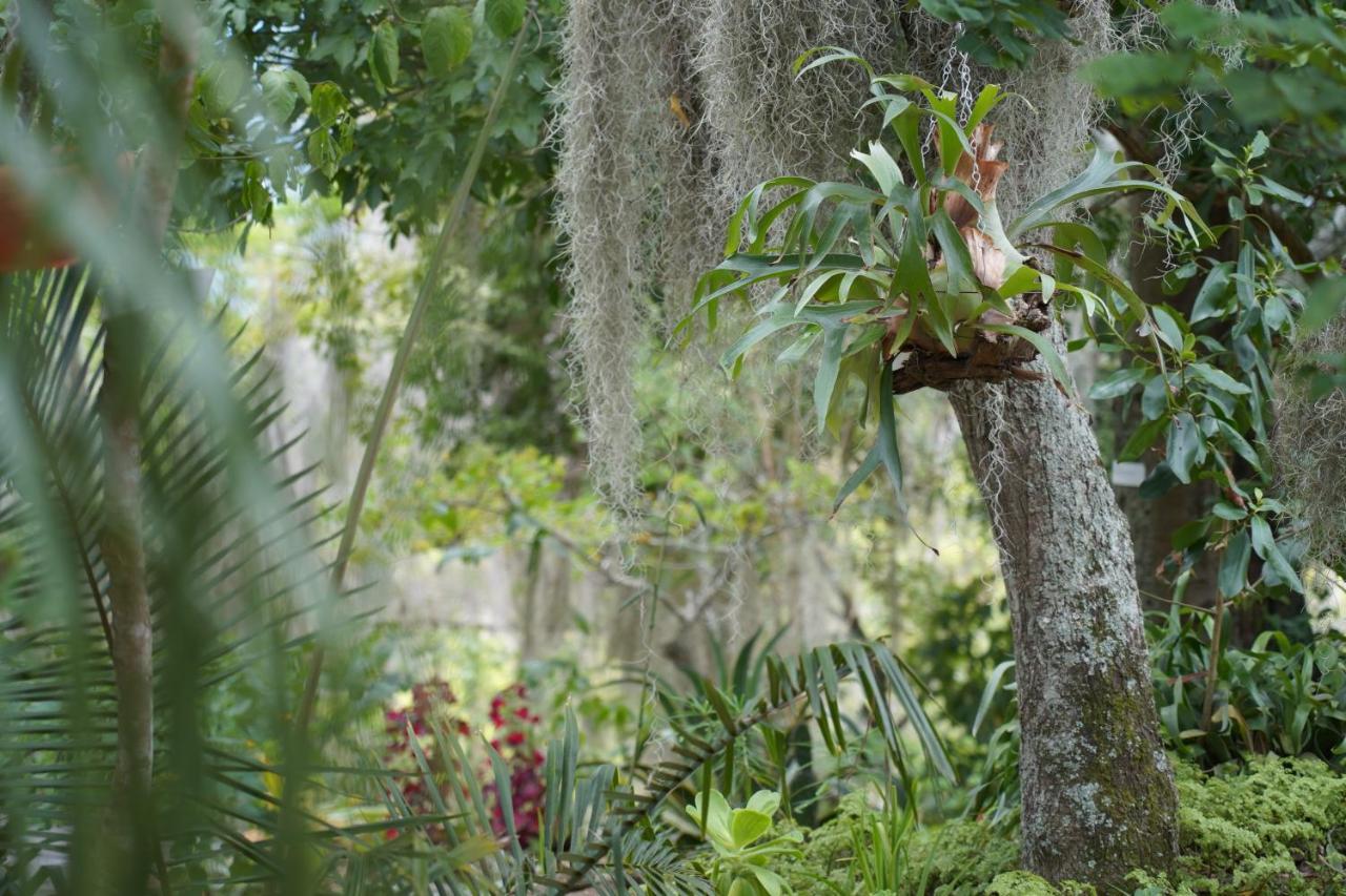 El Paraiso Posada Finca San Vicente Barichara Bagian luar foto